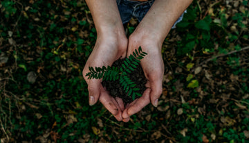 Greenwashing