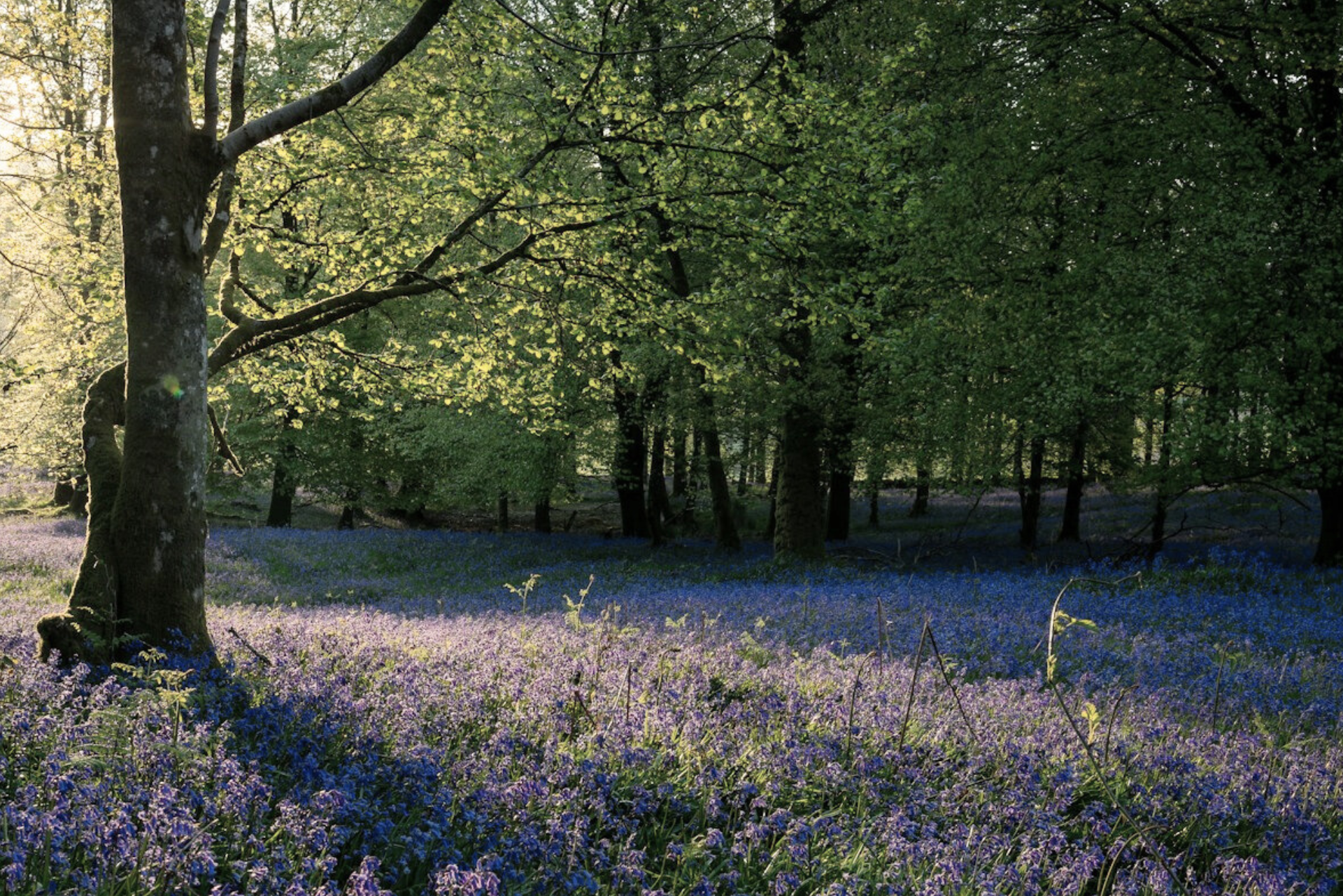slider image slider_item_tQEMq6