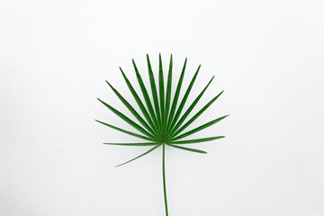 Vegan Fashion: A Way To Eco-Friendly Fashion